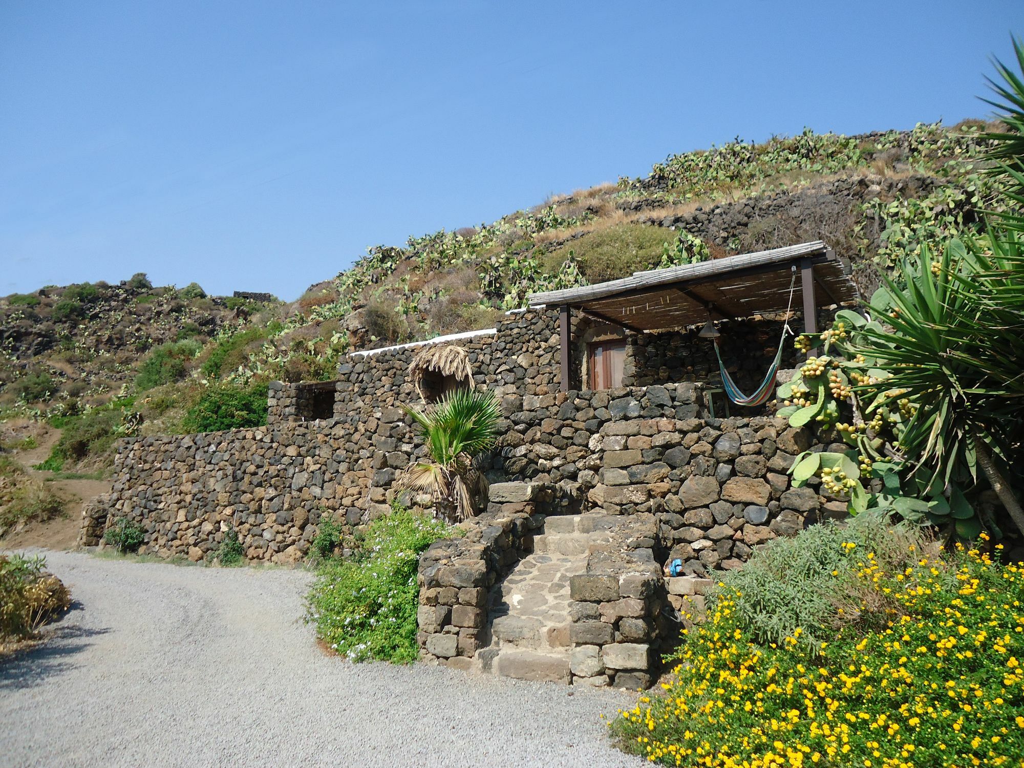 Agriturismo Zibibbodoro スカウリ エクステリア 写真